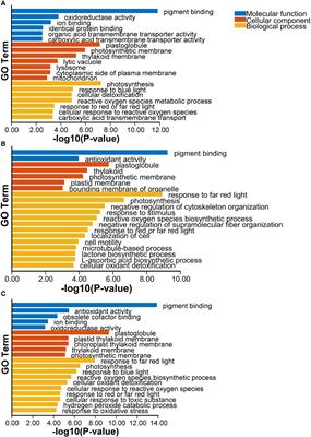 Transcriptome analysis reveals ABA involved in the detoxification mechanism of macroalga Gracilariopsis lemaneiformis to cadmium toxicity